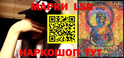 амф Донской