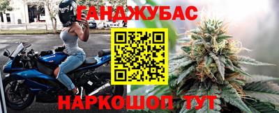 амф Донской