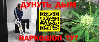 гидропоника Дубна