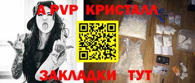 амф Донской