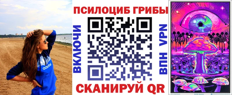закладка  Майкоп  Псилоцибиновые грибы Psilocybine cubensis 
