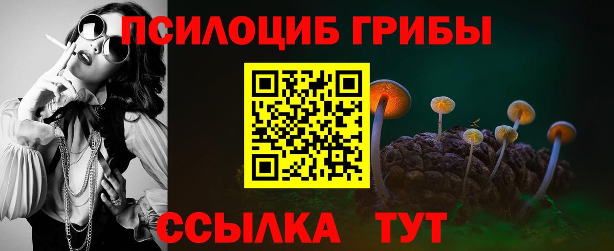 Майкоп  Псилоцибиновые грибы Magic Shrooms  Вход с VPN 